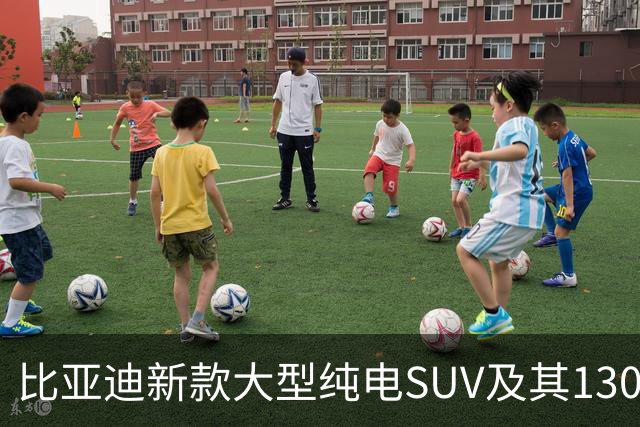 比亚迪新款大型纯电SUV及其130.15kWh电池技术分析